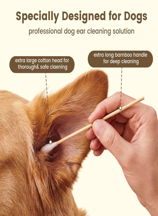 Bcowos Large Cotton Swabs for Dogs, Oversized Tips, 6" Bamboo Handle, 200 Count - Image 4