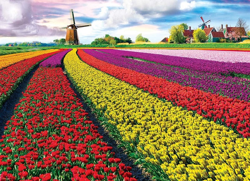 EuroGraphics EURHR Tulip Field  Netherlands 1000Piece Jigsaw Puzzle  Red - Image 2