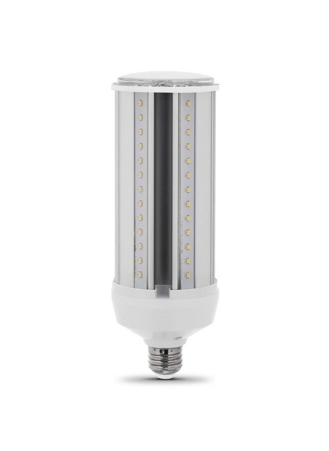 فيت اليكتريك - مصباح ذرة صغير مكافئ C4000/5K/LEDG2 من Feit Electric بقوة 300 واط، مصباح LED عالي الإنتاجية من الذرة، قاعدة E26، ضوء النهار 5000 كلفن، 3 بوصات × 3 بوصات × 7 بوصات - Image 1