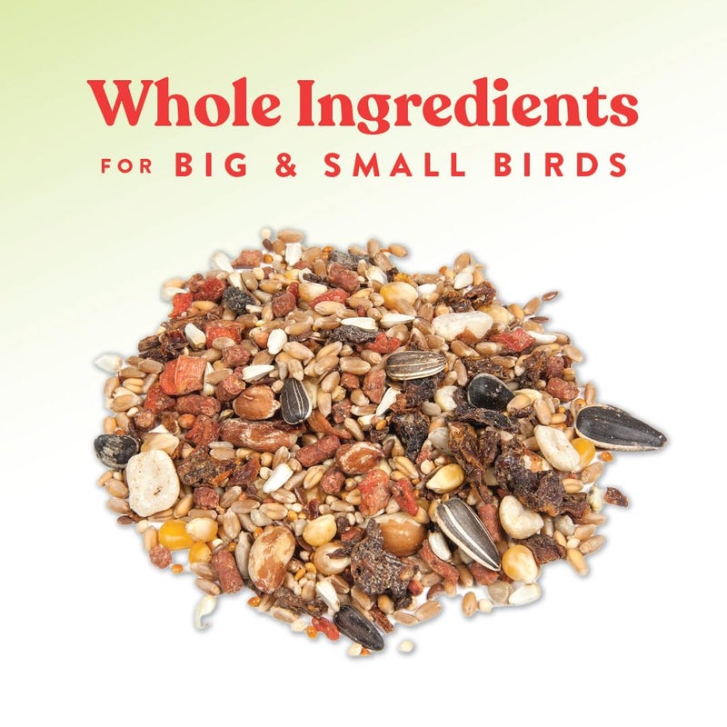 Manna Pro Harvest Delight - Whole Ingredient Chicken Treat - Harvest Mix of Grains, Raisins, Tomatoes, Carrots, Sunflower Seeds - Mixed Flock Poultry Treat - 2.5 lbs - Image 3