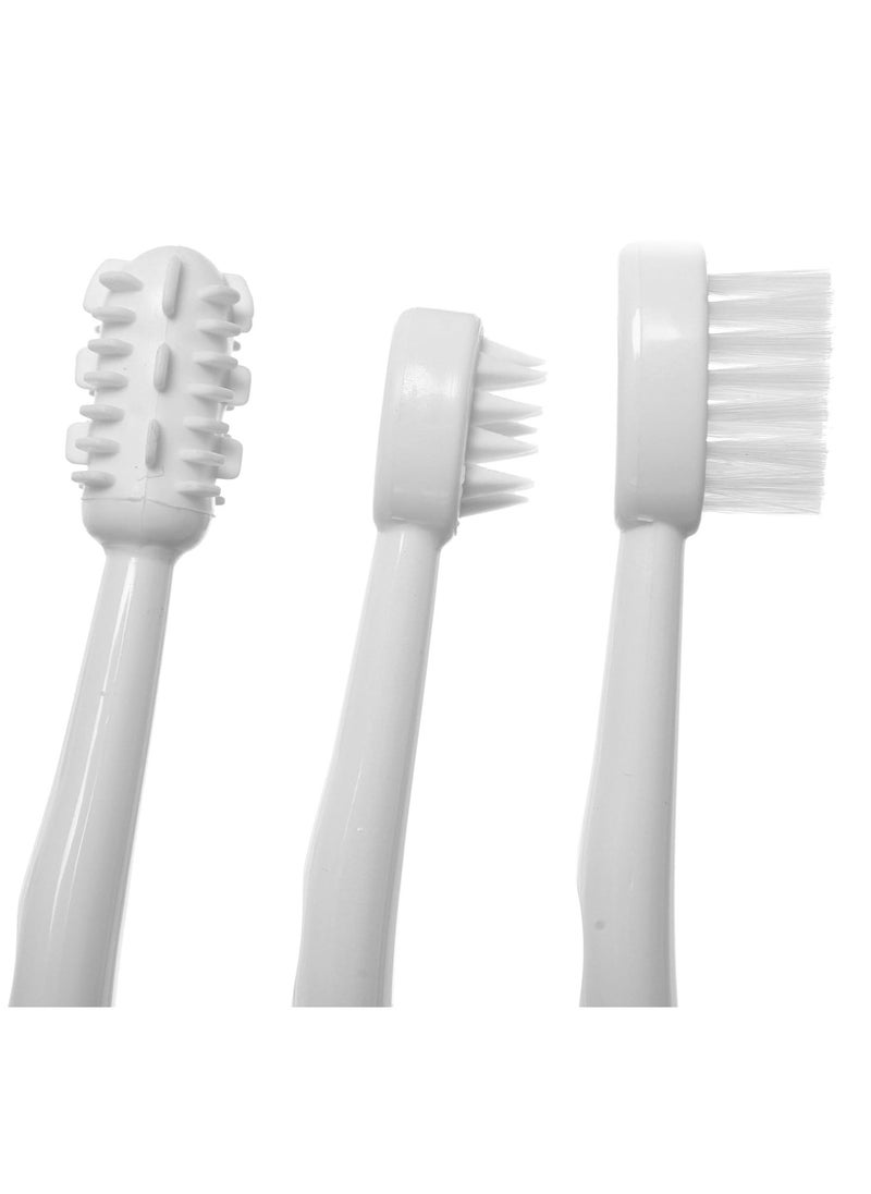 Dreambaby Toothbrush Set 3 Stage, White - pzsku/Z872D0DDE00FC0AFD59E8Z/45/_/1734960172/8a9ed1df-8340-42fc-b8b3-9c8b415dc992