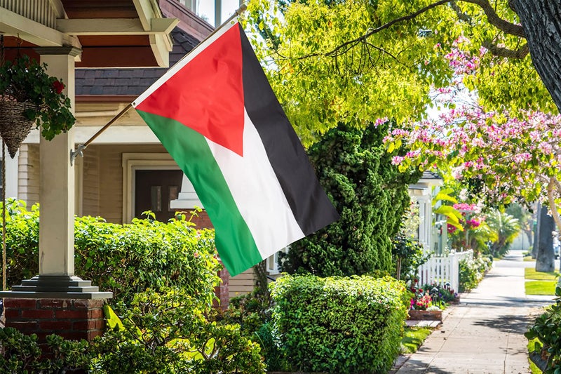 DANF FLAG DANF Palestine Flag 3x5 Ft Thick Polyester - Image 4