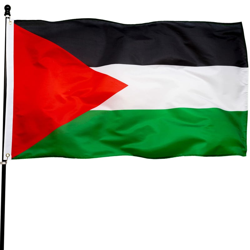 DANF FLAG DANF Palestine Flag 3x5 Ft Thick Polyester - Image 1