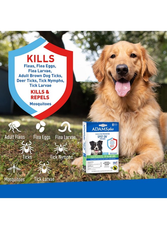 ADAMS Adams Plus Flea & Tick Prevention Spot On for Dogs 31-60 Pounds ; 12 Weeks & Older, 3-Month Supply, Kills Fleas, Flea Eggs, Flea Larvae & Brown Dog & Deer Ticks, Kills & Repels Mosquitoes for 30 Days  - Image 3