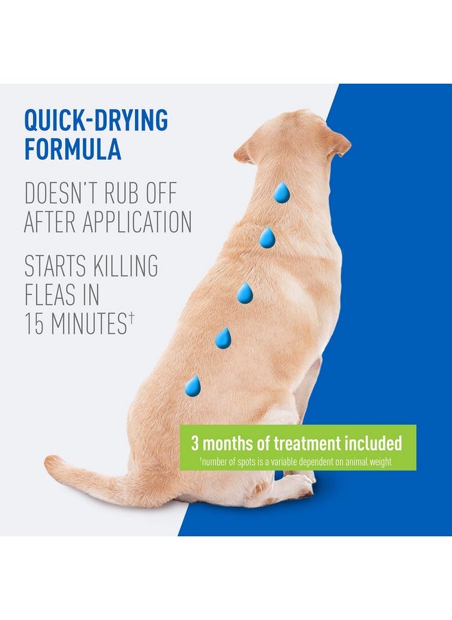 ADAMS Adams Plus Flea & Tick Prevention Spot On for Dogs 31-60 Pounds ; 12 Weeks & Older, 3-Month Supply, Kills Fleas, Flea Eggs, Flea Larvae & Brown Dog & Deer Ticks, Kills & Repels Mosquitoes for 30 Days  - Image 5