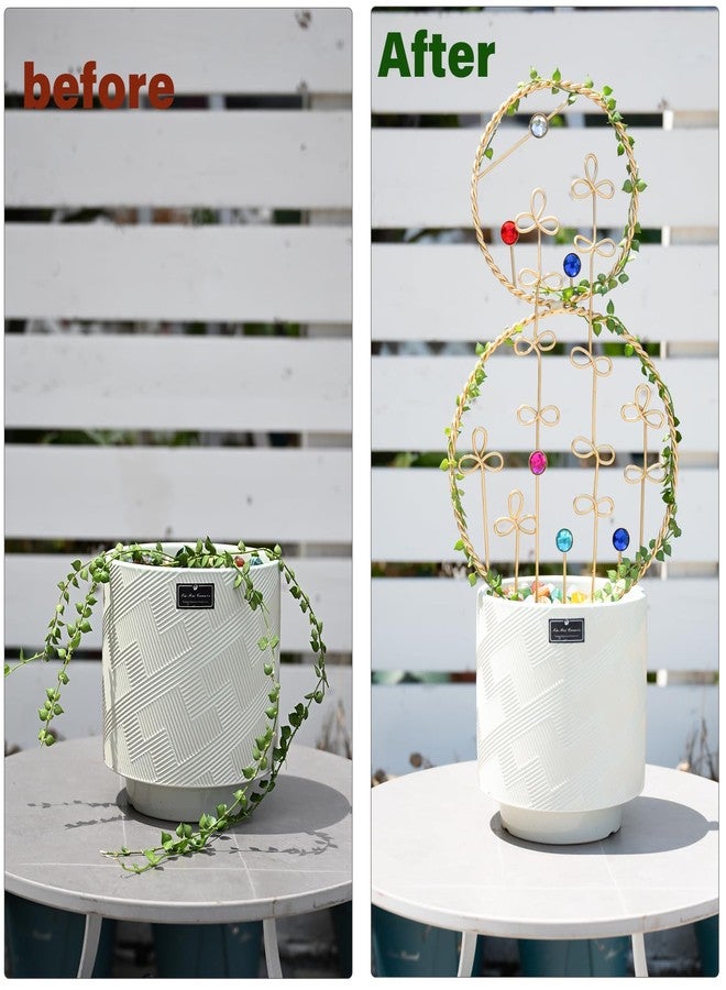 GOOOXIM 2PCS Hoya Trellis Plant Support Indoor Metal Frame Unique Trellis for Climbing Plants Potted Hoya Pots Small Houseplant Vine Support for Plant Lovers Home Decor - Image 3