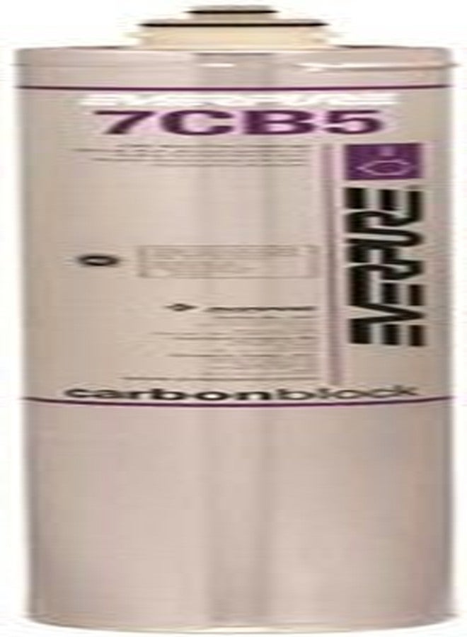 ever pure Everpure EV961816 7Cb5 Filter Cartridge