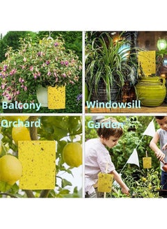 Lemon 10Pcs Yellow Double-sided Sticky Traps For Bug, Fly Trap, Insect Trap, Catch Multiple Flying Insects With Natural Mold Control Sticker, Perfect For Gardening 25cmx20cm  - Image 3