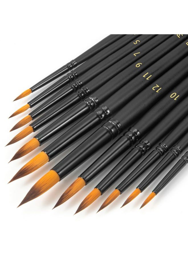 FENORKEY Watercolor Brushes Professional Set，12pcs Artist Watercolor Paint Brushes，Round Painting Brush for Watercolor, Acrylics, Ink, Gouache(Black) - Image 2