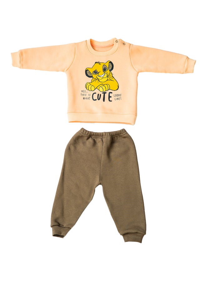 Baby Boys Pants & Sweatshirt Set