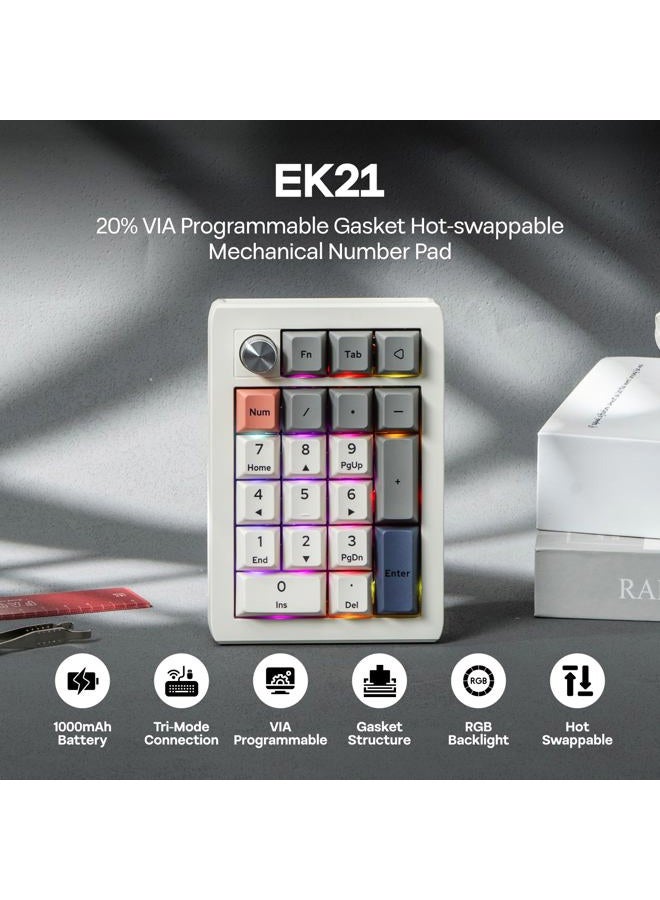 EPOMAKER EK21 VIA Gasket Number Pad with 1000mAh Battery, BT 5.0/2.4ghz/Wired Hot-Swap Numpad with Aluminum Alloy knob, Programmable for Win/Mac/Gaming (Retro White, Wisteria V2 Switch) - Image 2