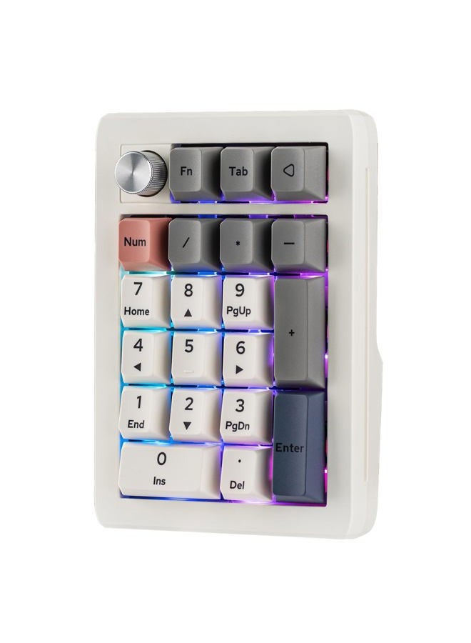 EPOMAKER EK21 VIA Gasket Number Pad with 1000mAh Battery, BT 5.0/2.4ghz/Wired Hot-Swap Numpad with Aluminum Alloy knob, Programmable for Win/Mac/Gaming (Retro White, Wisteria V2 Switch) - Image 1