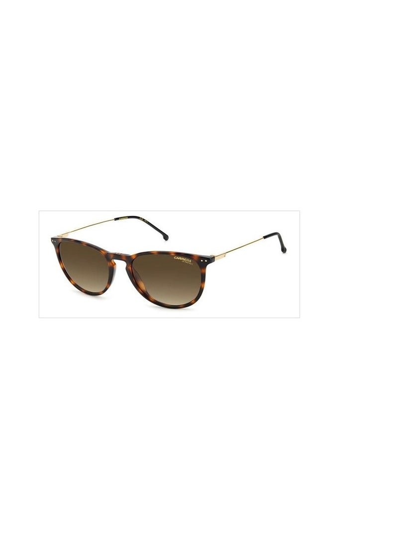 Carrera Sunglasses Model CARRERA 2027T/S Color 086/HA Size 52 mm