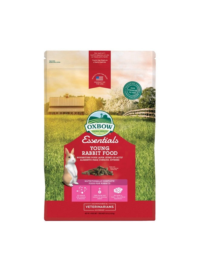 أوكسبو طعام أرانب أوكسبو إسينشالز، أرنب صغير، مصنوع من عشبة أوكسبو تيموثي، حبيبات طعام حيوانات أليفة للأرانب، منتجات حيوانات أليفة صغيرة، صنع في الولايات المتحدة الأمريكية، مستلزمات أرانب غنية بالألياف، كيس 10 أرطال - Image 1