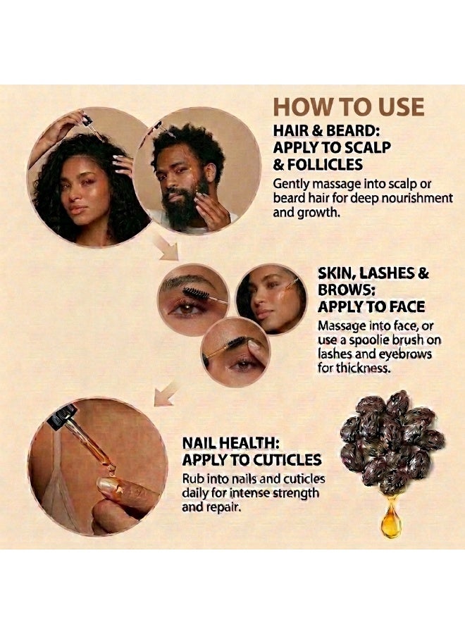 Ronalisa Jamaican Black Castor Oil For Hair & Skin Care - Multipurpose Lightweight Non-Sticky Oil for Hair, Skin, Nails, Stretch Marks & Stomach - Infused with Grape Seed & Basil 100% Natural (Size in 100ml) - Image 4