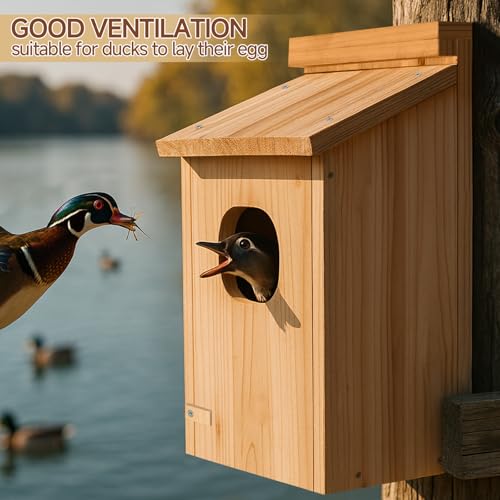Amcortn Duck House Wood Duck Houses for Outside Duck Nesting Box Outdoor Shelter for Pond Wetland Ducks and Hooded Mergansers 17x10x10 Inches - Image 3