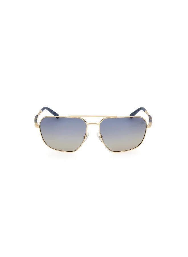 Timberland Wayfarers Sunglasses