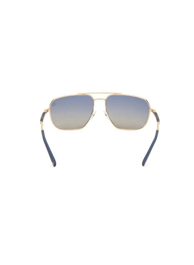 Timberland Wayfarers Sunglasses