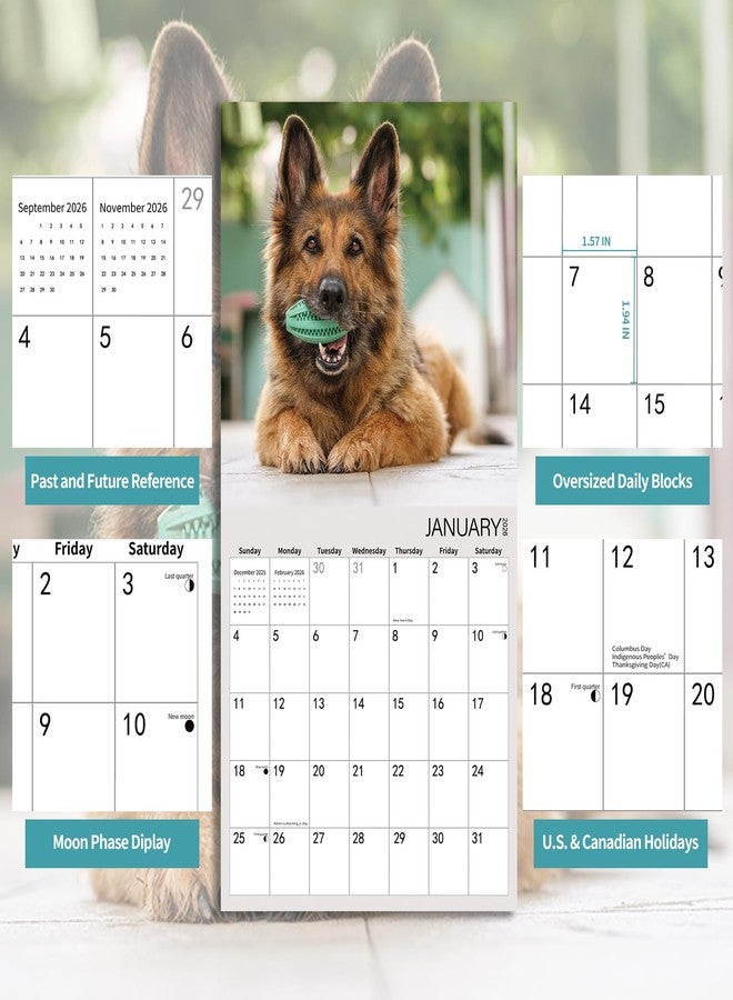 BLYYIEER 2026 Wall Calendar,GERMAN SHEPHERD Wall Calendar, 12" x 24" Open,Family Planner Calendar Organizer with GERMAN SHEPHERD Images, for Dogs Lovers - Image 4