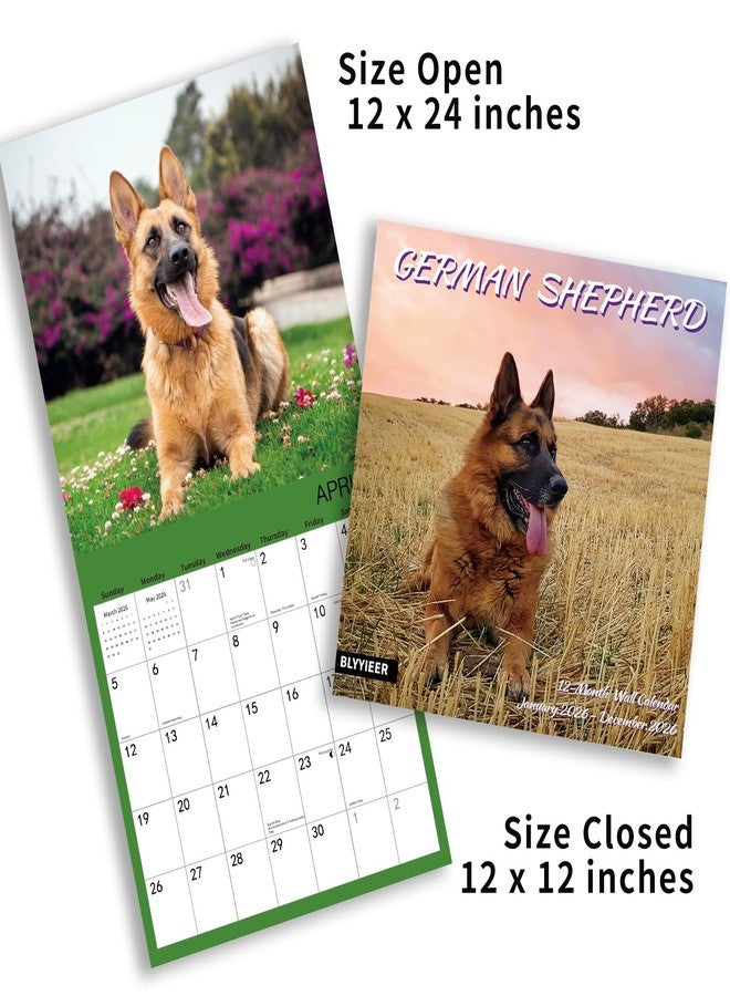 BLYYIEER 2026 Wall Calendar,GERMAN SHEPHERD Wall Calendar, 12" x 24" Open,Family Planner Calendar Organizer with GERMAN SHEPHERD Images, for Dogs Lovers - Image 5