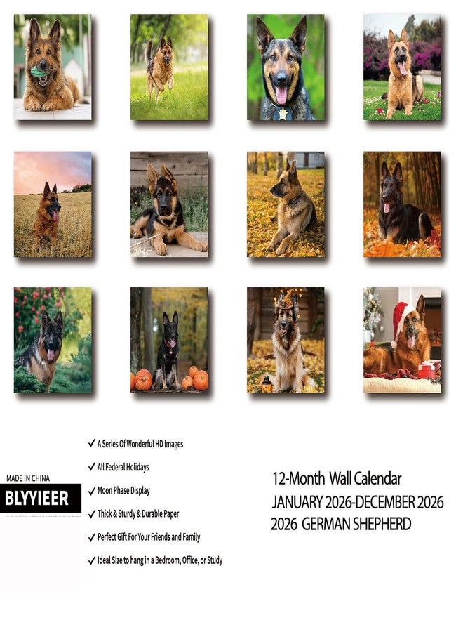 BLYYIEER 2026 Wall Calendar,GERMAN SHEPHERD Wall Calendar, 12" x 24" Open,Family Planner Calendar Organizer with GERMAN SHEPHERD Images, for Dogs Lovers - Image 2