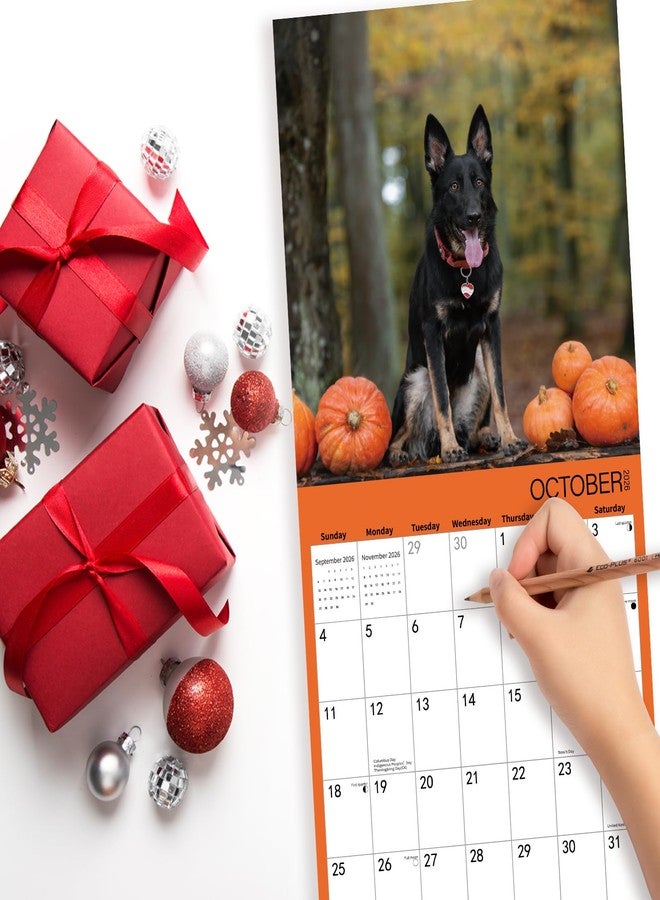 BLYYIEER 2026 Wall Calendar,GERMAN SHEPHERD Wall Calendar, 12" x 24" Open,Family Planner Calendar Organizer with GERMAN SHEPHERD Images, for Dogs Lovers - Image 3
