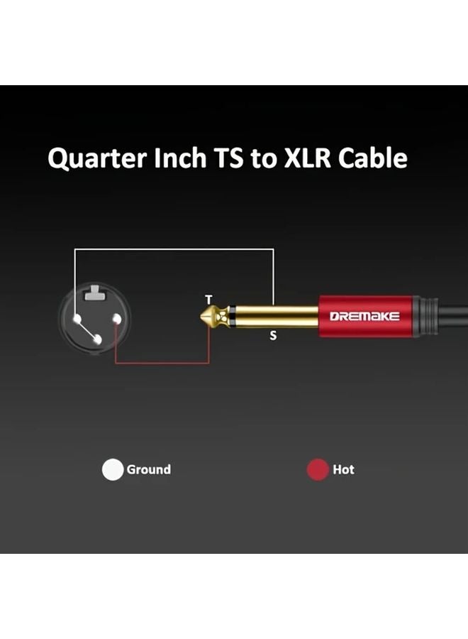 2 Pack 10ft XLR Female to 6.35mm TS Male Audio Cable for Microphone Mixer Guitar - Image 5