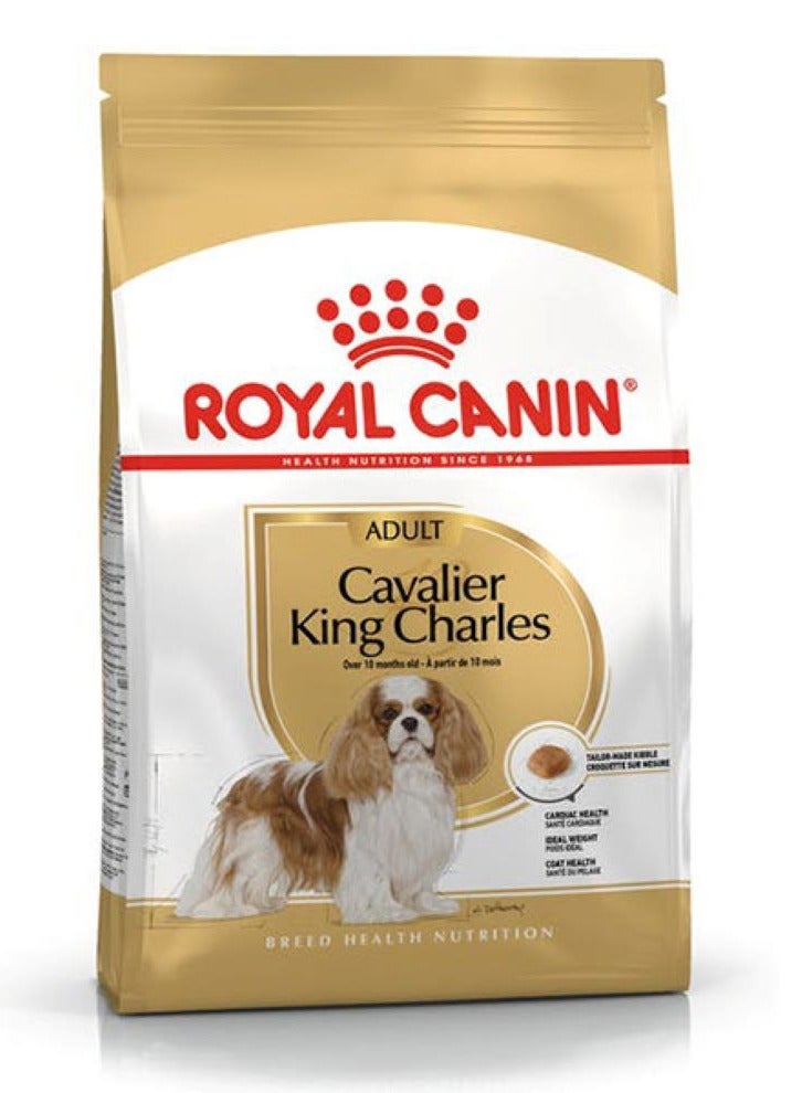 رويال كانين فارس كينج تشارلز للبالغين 1.5 كجم