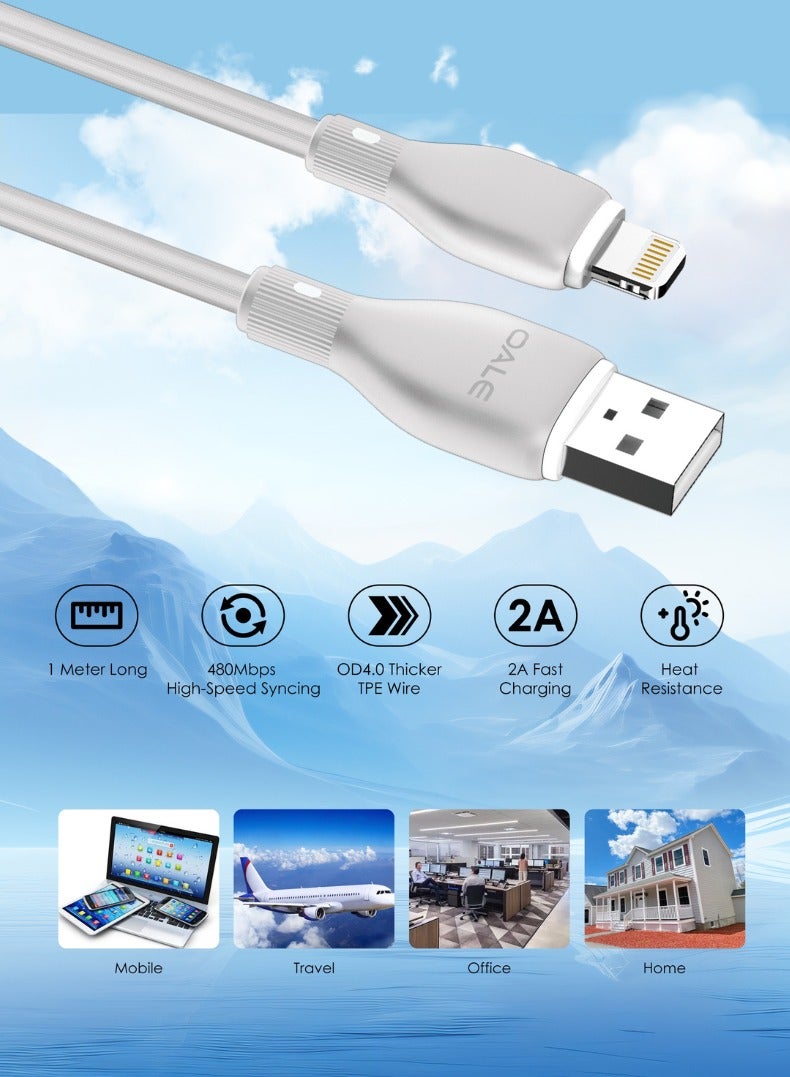 OALE iCable 1 | Lightning to USB Charging Cable | 2A Fast Charge | 480Mbps Data Transfer | 12+1 Month Warranty - Image 2