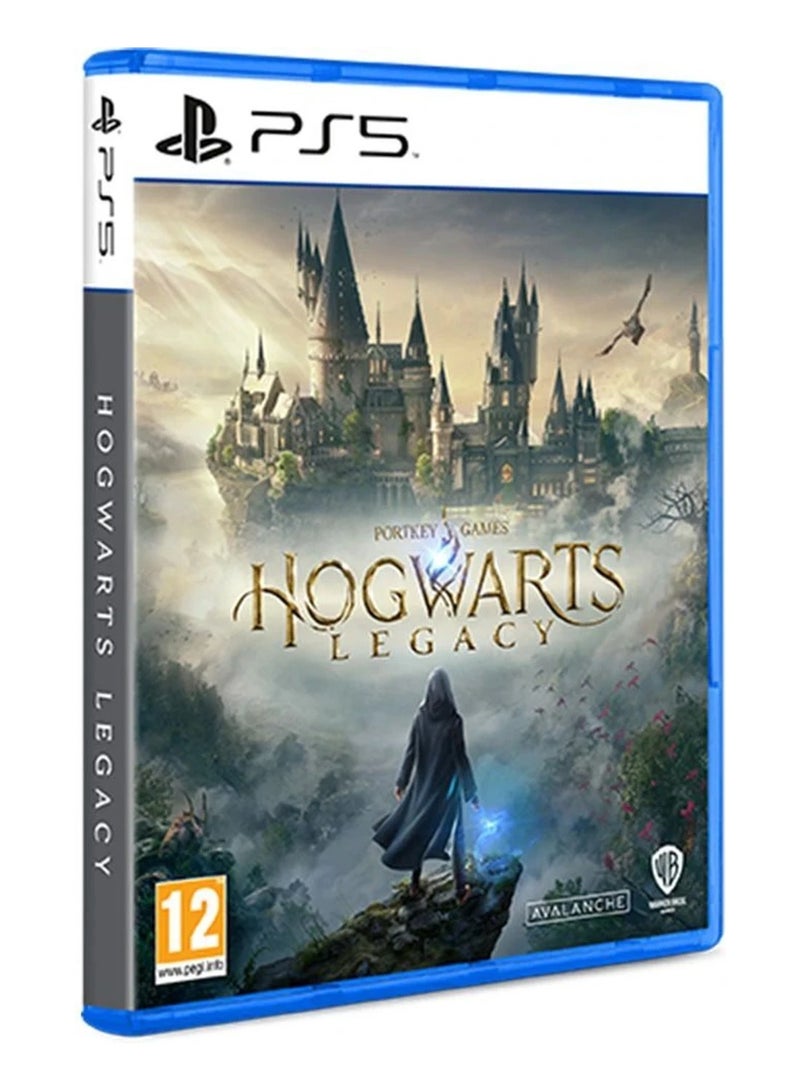 Warner Bros. Interactive Hogwarts Legacy (International Version) - playstation_5_ps5 - Image 2