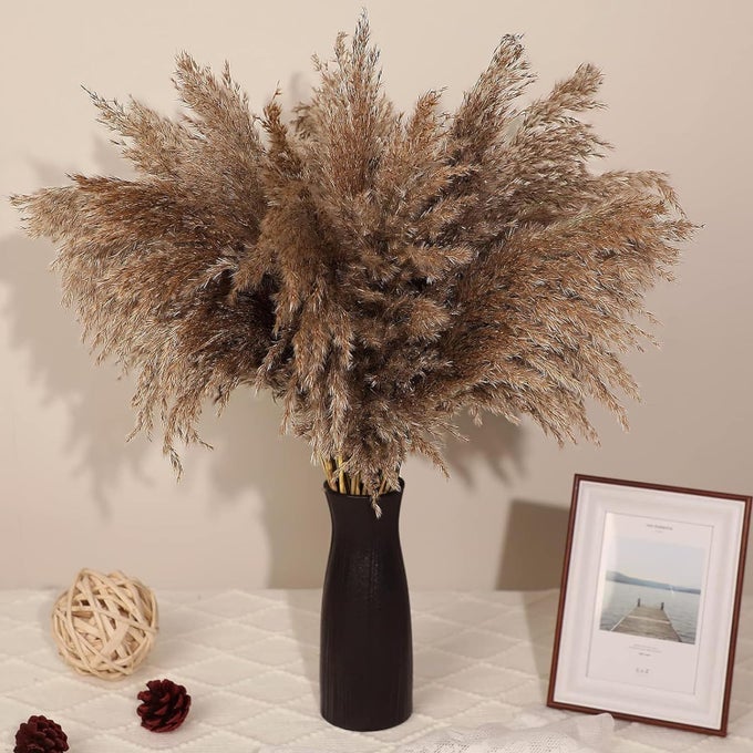 NATURAL DRIED PAMPAS GRASS 1815 FEET TALL DRIED PAMPAS GRASS FLUFFY STEMS PLANTS FLOOR VASE FILLER FOR HOMEOFFICEBEDROOMTABLE CORNER DECORATION PACK OF 10