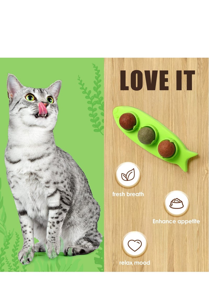 Zikra Catnip Wall Toys 6 Pieces Removable Silver Vine Ball with 2 Fish Shaped Containers Rotatable Catnip Ball Cat Lick Ball Kitten Bites Cat Wall Snacks for Kitten Pets. - Image 3