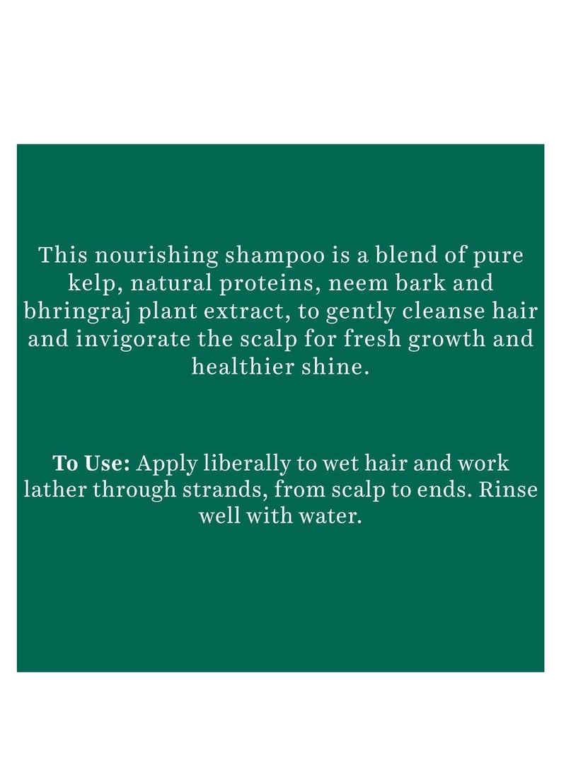 Biotique Ocean Kelp Anti Hairfall Shampoo | Intensive Hair Growth Therapy| Anti Hairfall Shampoo that Maintains Shine |100% Botanical Extracts | Suitable for All Hair Types |650ml - Image 3