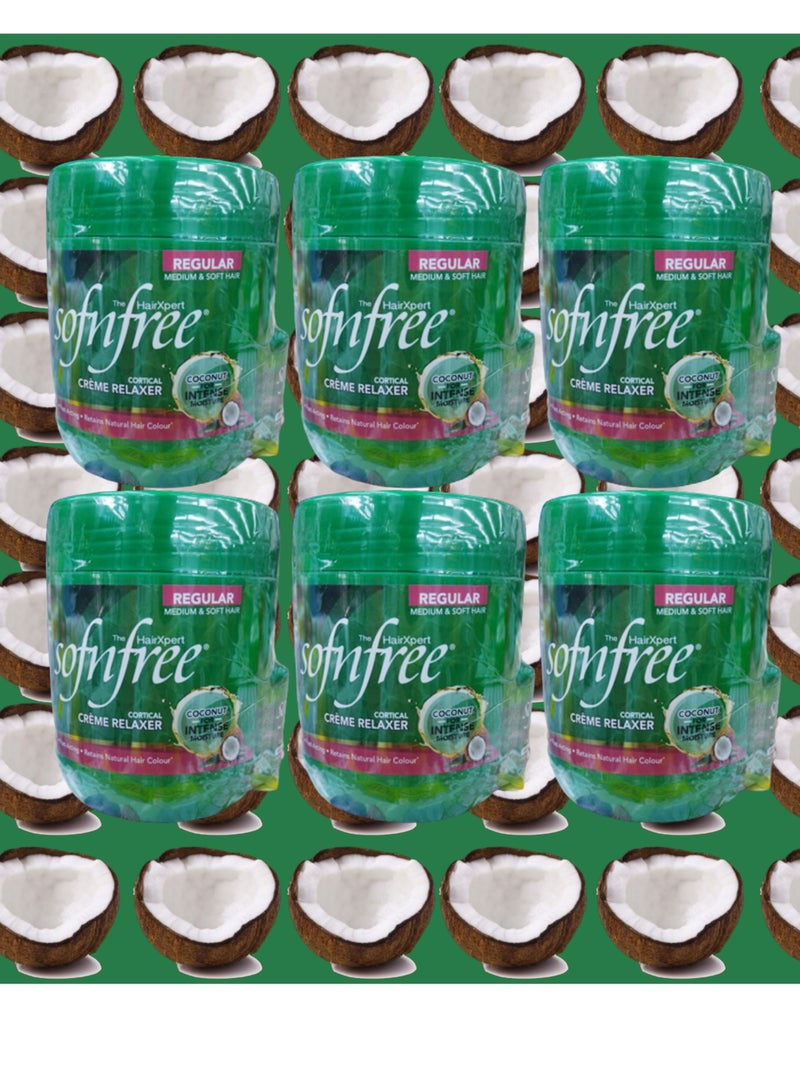 سوفن فري 6 قطع كريم فرد الشعر سوفن فري كورتيكال الجديد بجوز الهند اكثر تنعيم  450 مل - Image 1