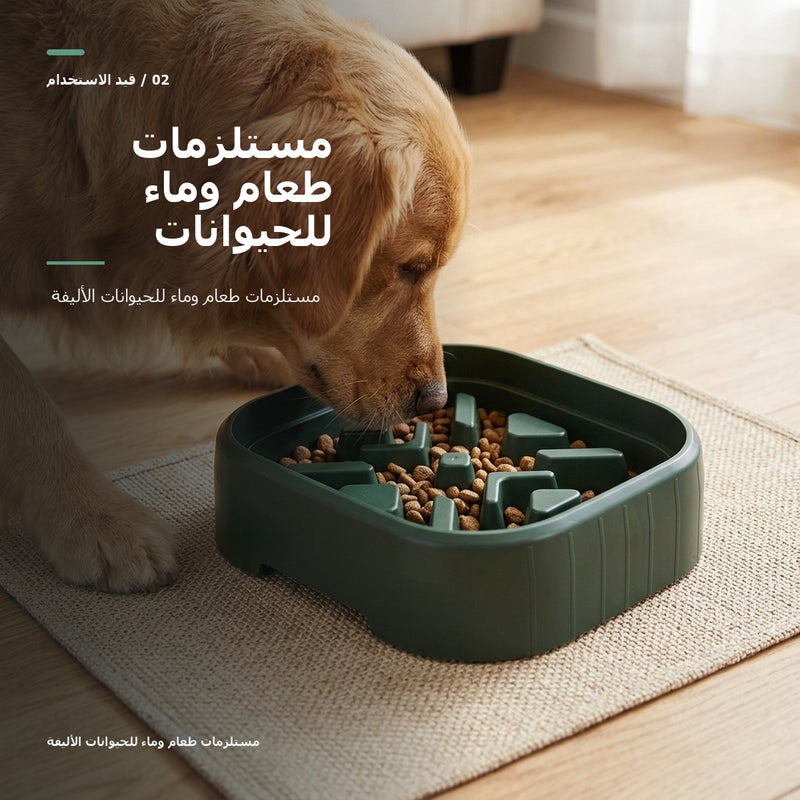 وعاء إطعام بطيء للحيوانات الأليفة بخامة سيراميك وبوعاء ستانلس ستيل وبوعاء مزدوج للطعام اليومي لزاوية طعام الحيوانات الأليفة للقطط من الستانلس ستيل - Image 3