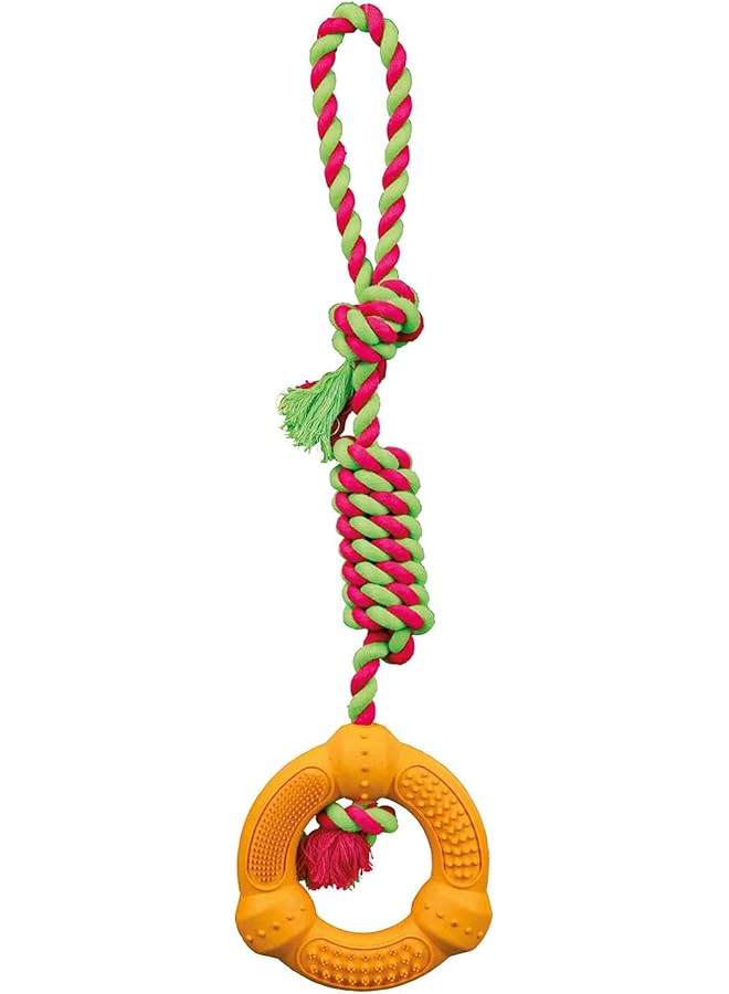 تريكسي حبل لعب من دينتا مع حلقة للكلاب 41 × 12 سم - Image 1