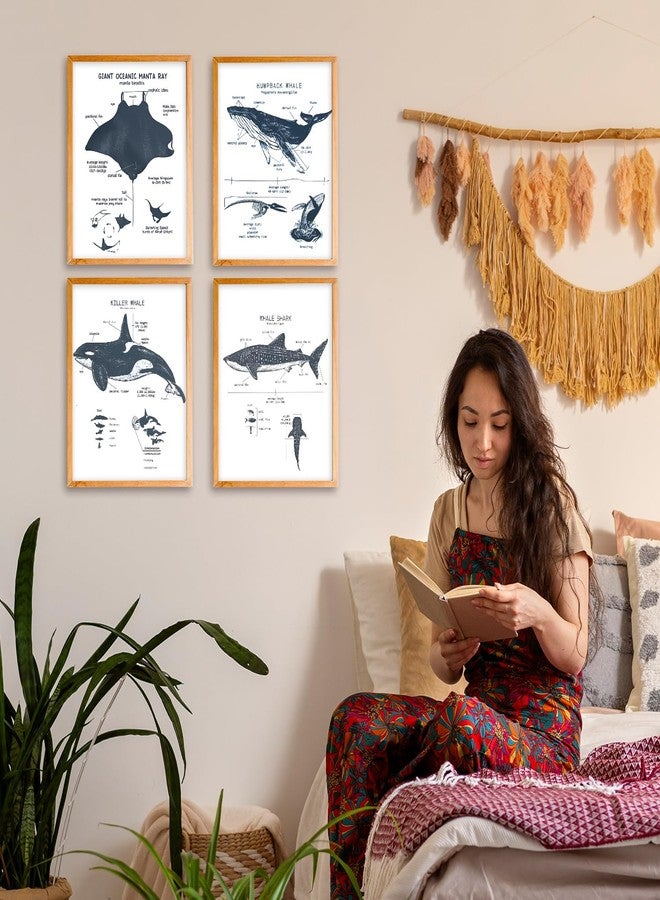 مجموعة مطبوعات فنية جدارية من VIIJJUE بتصميم قرش الحوت، 4 قطع، ملصق قرش، ملصقات ديكور لغرفة الشاطئ والمحيط، لوحات جدارية تعليمية عن الحياة البحرية للفصول الدراسية والحمامات وغرف المعيشة، مقاس 8 × 10 بوصات بدون إطار. - Image 3