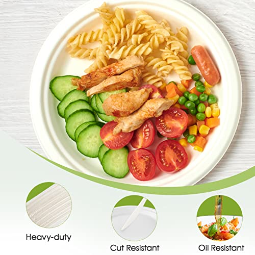 ECOLipak 9 inch 150 Pack Compostable Paper Plates, Heavy Duty Disposable Biodegradable Eco-friendly Sugarcane Bagasse Plates for Party Thanksgiving - Image 4
