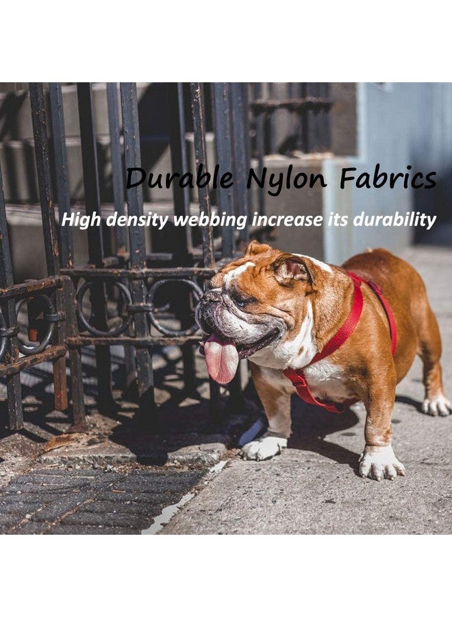 مقود نايلون 15 مم مع حزام 0.5 بوصة قابل للتعديل من النايلون، مثالي للكلاب الصغيرة والجراء - أحمر - Image 2