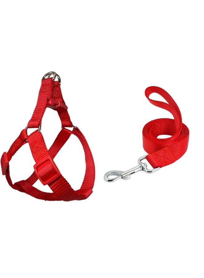 مقود نايلون 15 مم مع حزام 0.5 بوصة قابل للتعديل من النايلون، مثالي للكلاب الصغيرة والجراء - أحمر - Image 1