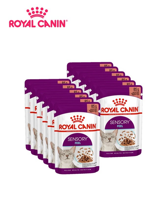 ROYAL CANIN Feline Health Nutrition Sensory Feel Wet Food - 85 G (Pack Of 12) 