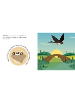 The Birth of a Swallow: Montessori: A World of Achievements  - Image 5
