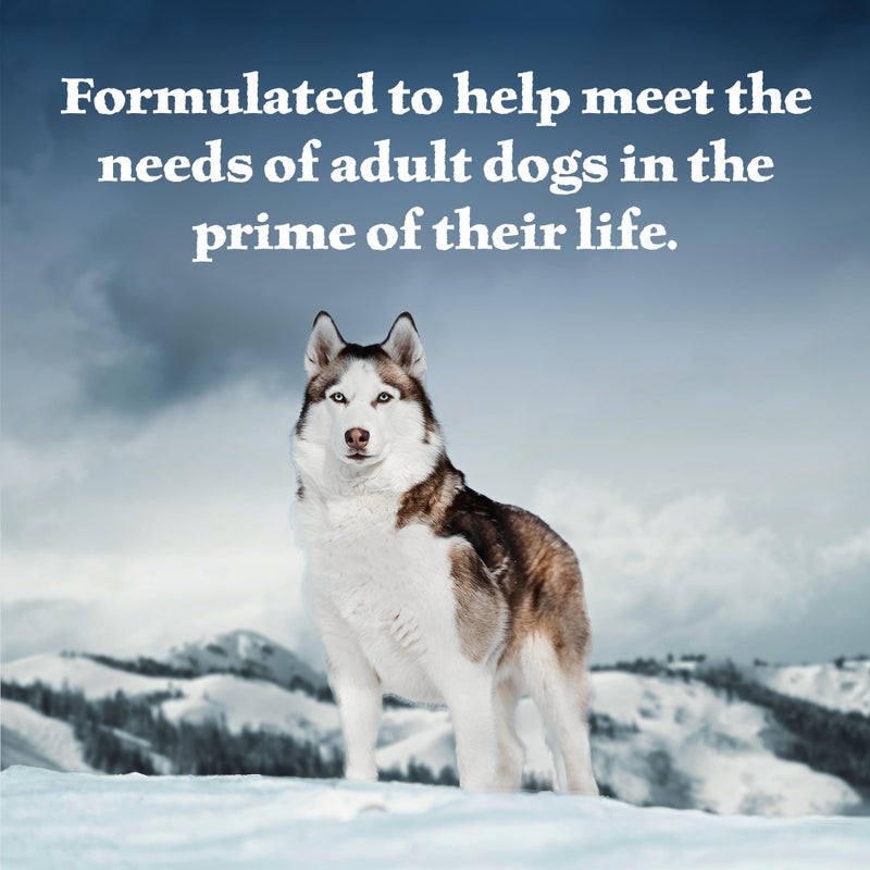 Blue Buffalo Wilderness Adult Wet Dog Food, High-Protein & Grain-Free, Made with Natural Ingredients, Beef & Chicken Grill, 12.5-oz. Cans, 12 Count - Image 5