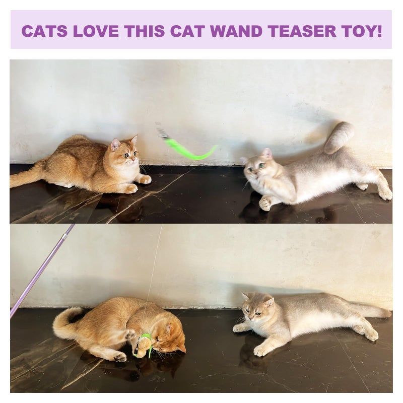 ZeyZoo 11PCS Cat Wand Toy, Cat Toys Interactive for Indoor Cats, 2 Retractable Cat Wand, 7 Worm Cat Teaser Toys and 1 Plush Fish Cat Toy, Cat Feather Toys for Play Chase Exercise with Kitten, Extra 1 Line - Image 4