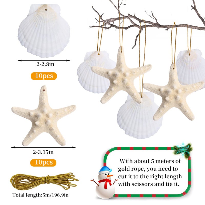 JQAQJU 20 PCS Christmas Tree Hanging Ornaments Natural Starfish Sea Shells Decorations Beach Style for Wedding Birthday Craft Projects - Image 4