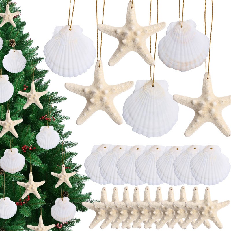 JQAQJU 20 PCS Christmas Tree Hanging Ornaments Natural Starfish Sea Shells Decorations Beach Style for Wedding Birthday Craft Projects - Image 1