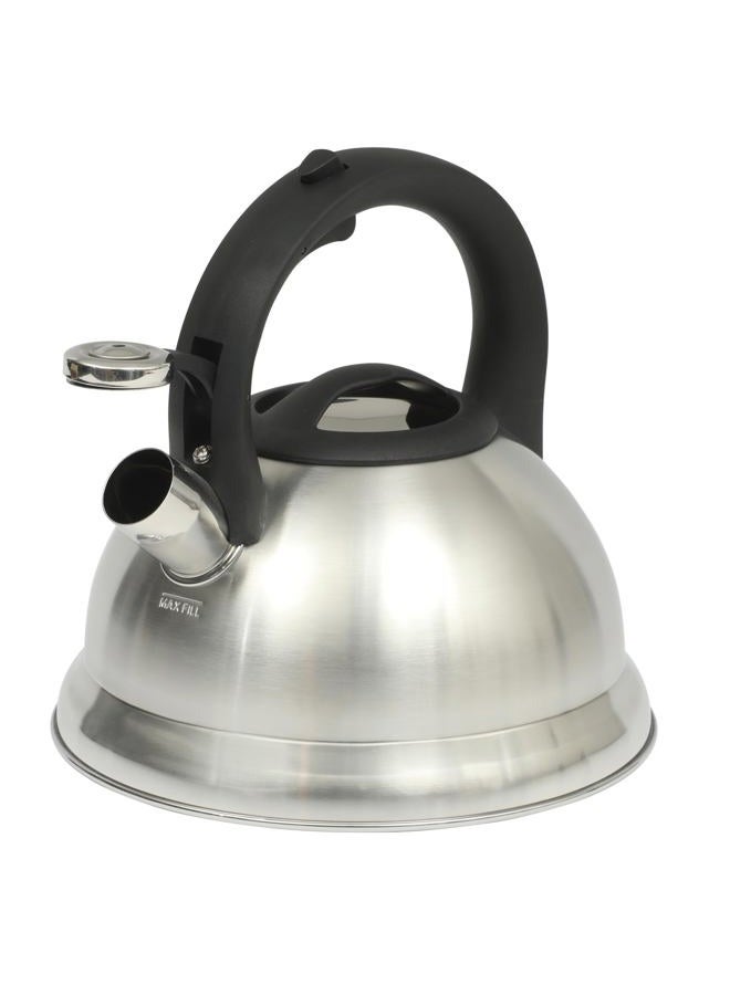 Mr. coffee Hartbay Large 2.4 Quart Stainless Steel Whistling Tea Kettle - Image 1