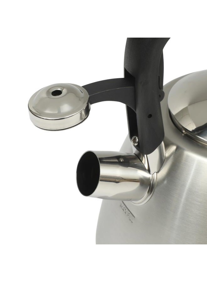 Mr. coffee Hartbay Large 2.4 Quart Stainless Steel Whistling Tea Kettle - Image 4