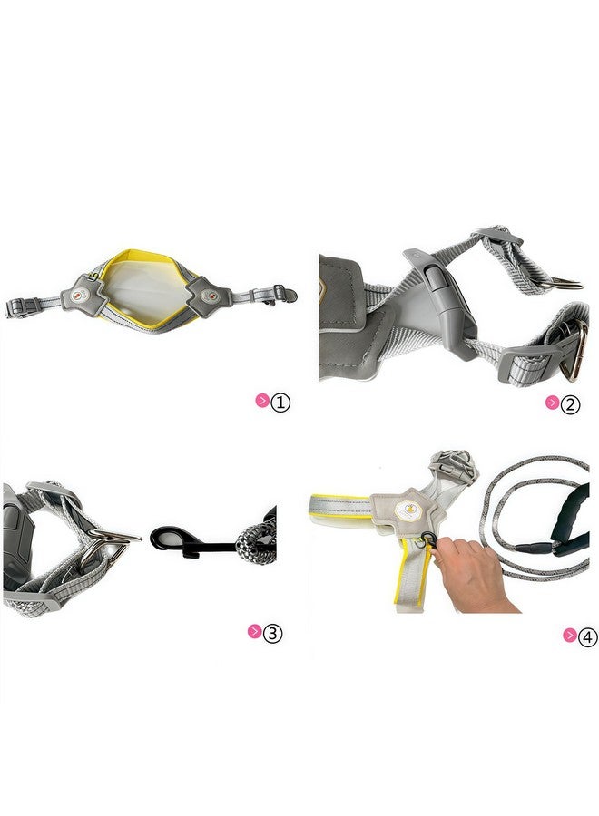 حزام للكلاب الصغيرة والمتوسطة، مقود للجراء مع شرائط عاكسة، حبل أمان للجراء بطول 4.92 قدم مع سترة مبطنة ناعمة قابلة للتعديل (سترة صفراء على شكل حرف Y مع حبل، مقاس صغير (8.82-22.05 رطل) - Image 3