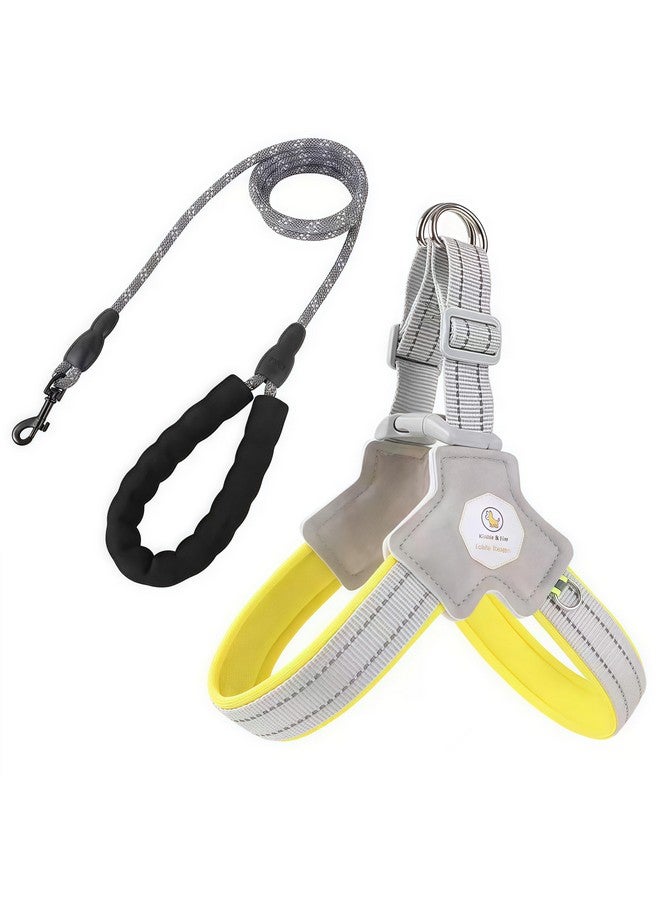 حزام للكلاب الصغيرة والمتوسطة، مقود للجراء مع شرائط عاكسة، حبل أمان للجراء بطول 4.92 قدم مع سترة مبطنة ناعمة قابلة للتعديل (سترة صفراء على شكل حرف Y مع حبل، مقاس صغير (8.82-22.05 رطل) - Image 1